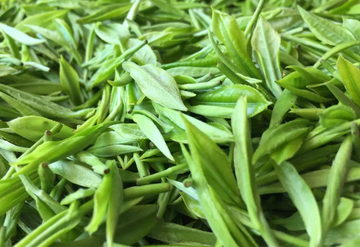 綠茶有哪些品種？鐵觀音是綠茶嗎？